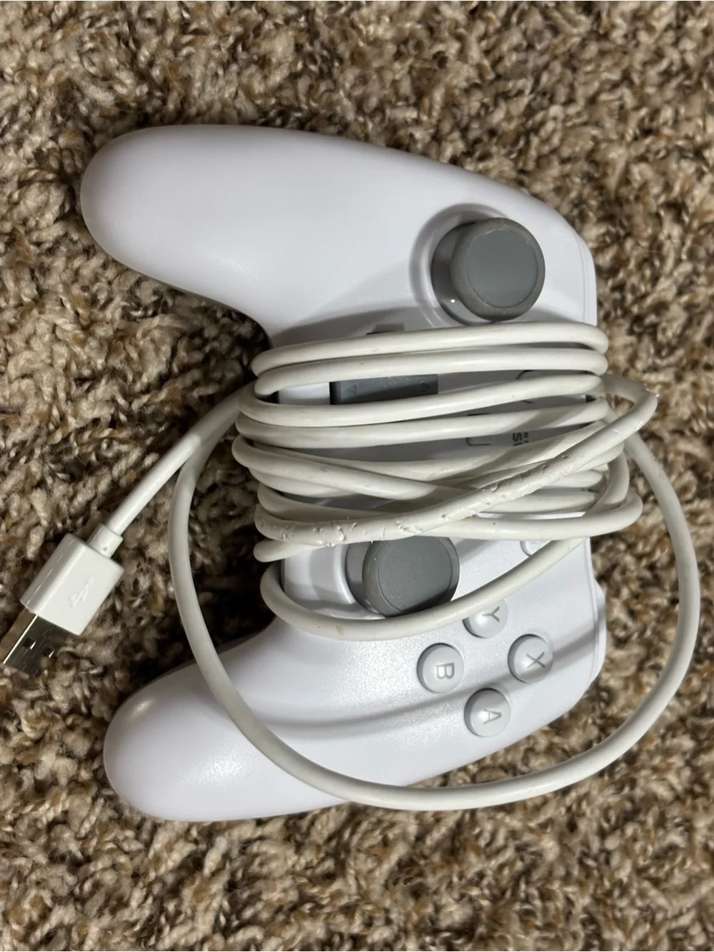 Nintendo wired controller